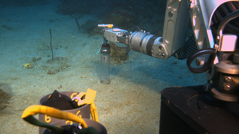 The Global Explorer remotely operated vehicle collecting sediment samples at Alderdice bank, 63 meters (207 feet) deep, using a push core. The collected samples will eventually undergo isotopic analyses in the lab.