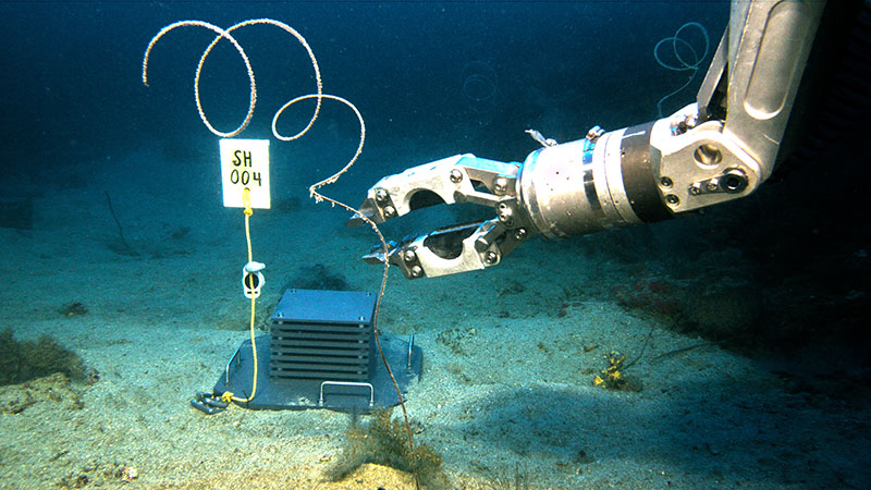 ARMS being deployed by the Global Explorer ROV in a sandy patch on Alderdice Bank at 63 meters (207 feet) deep. A marker with temperature sensors is attached to the ARMS.