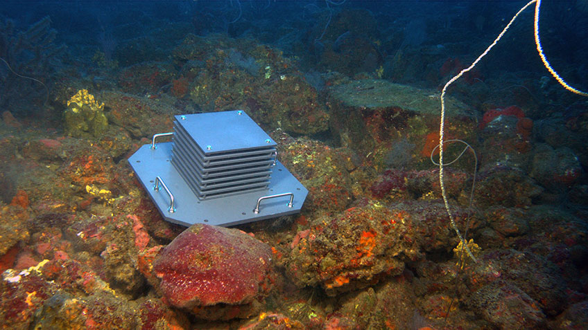 ARMS deployed on rocky coral/sponge habitat in Alderdice Bank at 63 meters deep.