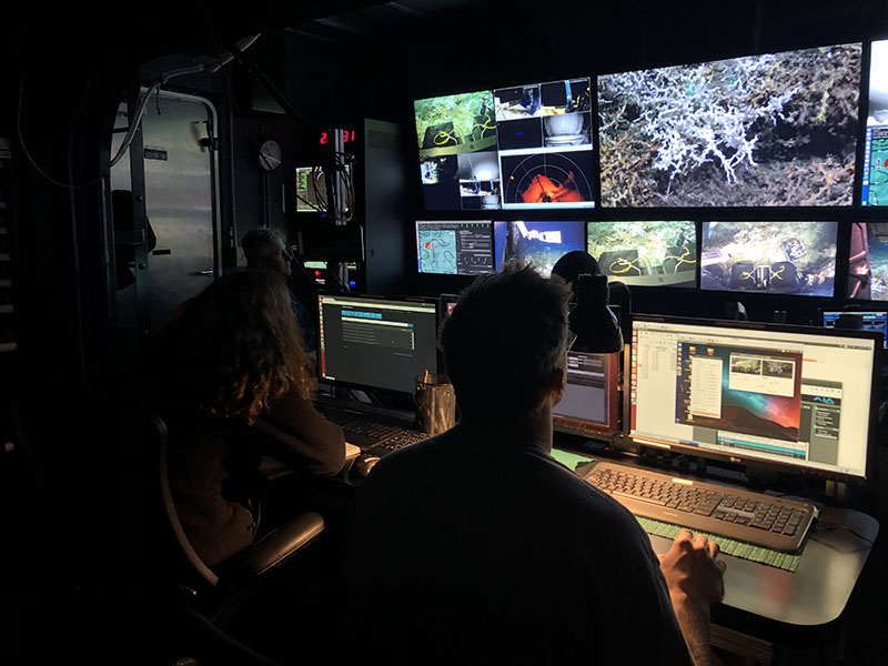 Josh Parris and Andrea Quattrini on their first shift as video and data loggers in the ROV control room.