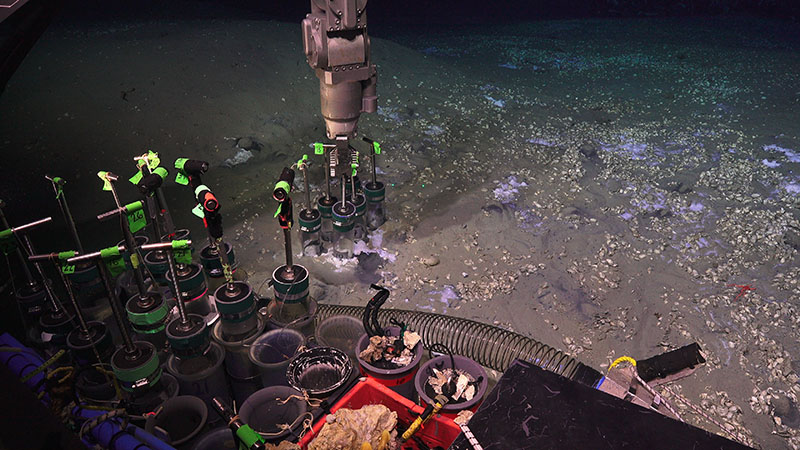 The DEEP SEARCH team collected four sets of push cores with ROV Jason at Blake Ridge Seep.