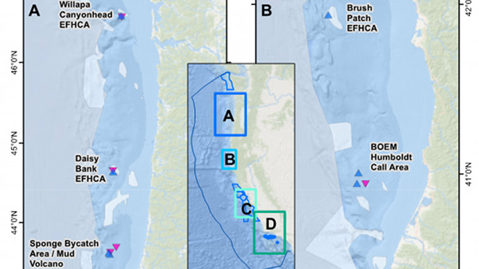 Expedition Summary Locations of the 15 sites successfully surveyed during the Surveying Deep-sea Corals, Sponges, and Fish Habitat expedition.