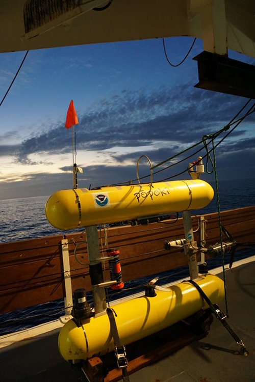 The AUV Popoki ready for operation on deck of the Reuben Lasker.