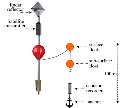 Schematic of drifting acoustic buoys including ‘Hi-Flyer’ buoy with radar reflector and satellite transmitters, attached to a series of floats and a 100-150m vertical line to the acoustic recorder and anchor (to help the line stay vertical!)