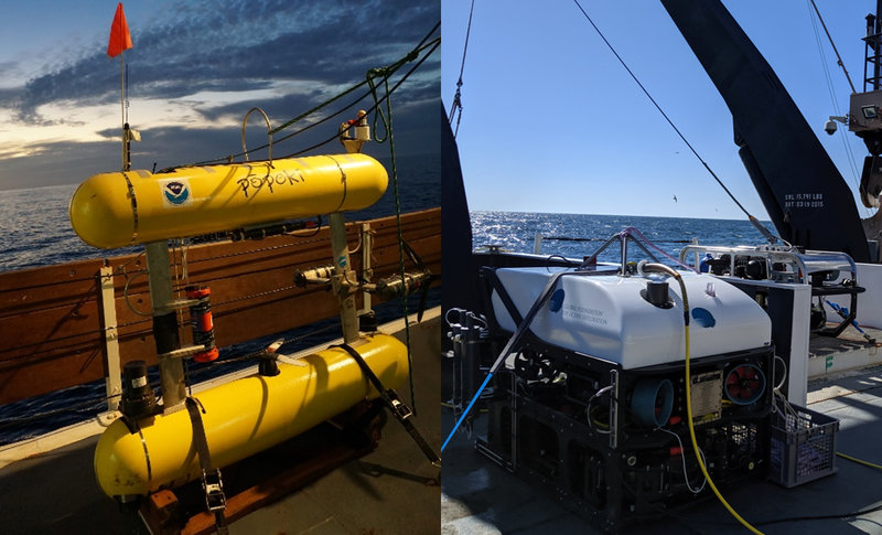 AUV Popoki (left) and ROVs Guru and Yogi (right) on the deck of the Reuben Lasker.