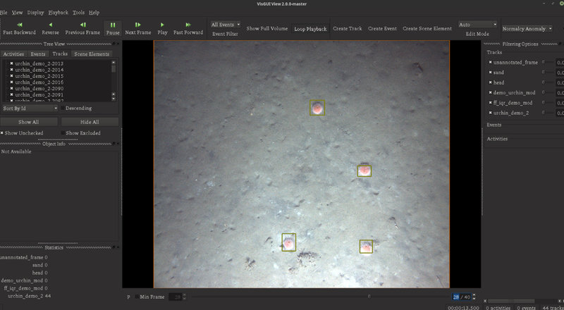 Screenshot from VIAME showing the pink urchins that were detected in this AUV image.