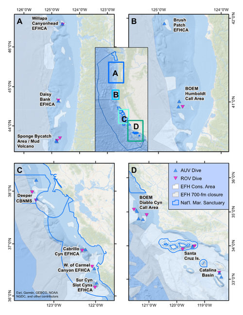 Locations of the 15 sites successfully surveyed during the Surveying Deep-sea Corals, Sponges, and Fish Habitat expedition.