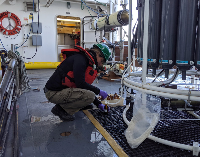 Nancy Prouty collects water samples from Nisken bottles. Image courtesy of NOAA, USGS; taken from GFOE ROV Yogi.