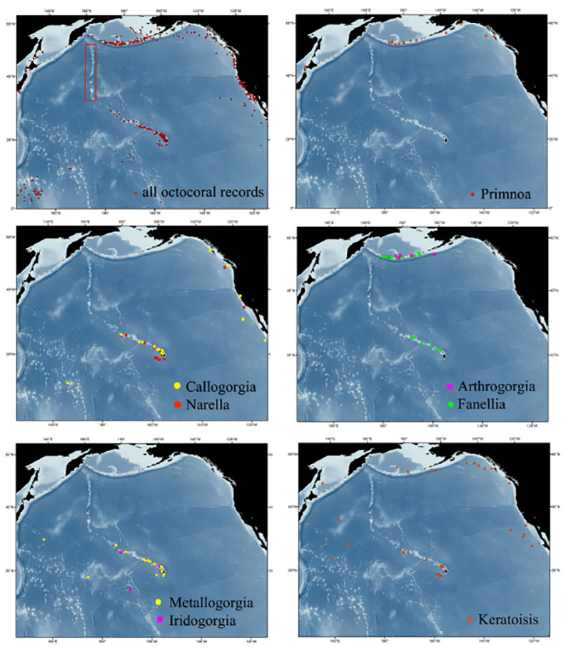 Known octocoral records from the North Pacific, including along the Aleutian Islands, west coast of North America, and Hawaiian Ridge. Most records from Japan are outside the area of this map. Rectangle in upper left box indicates extent of the Emperor Seamounts.