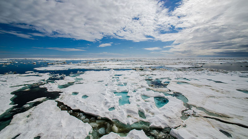 Why Explore the Gulf of Alaska Seamounts?