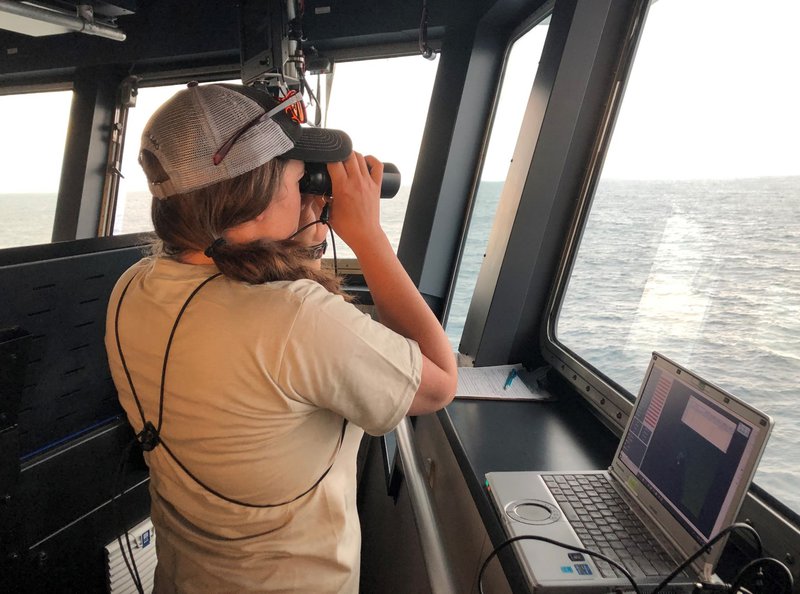 Callie Gesmundo is spending long hours on the ship’s bride observing seabirds and marine mammals.