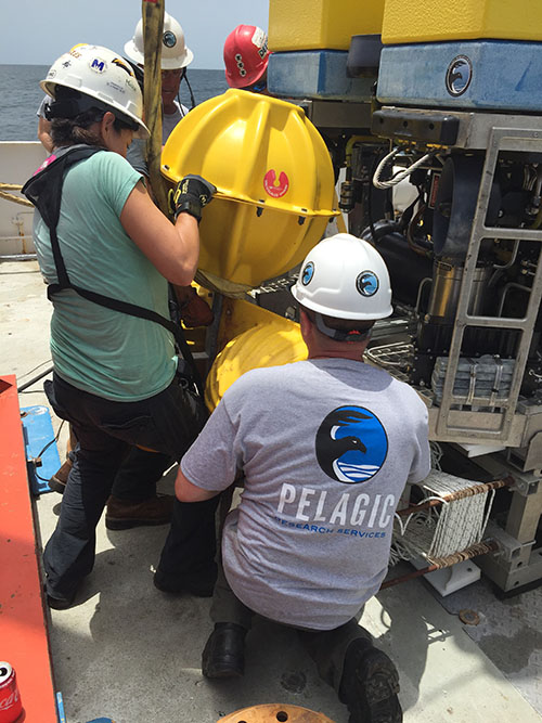 The team works to attach the landers to the back of the ROV.