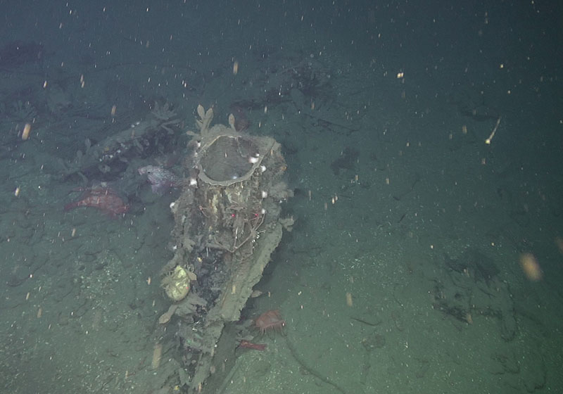 The vessel’s sternpost, where the rudder attached, and one of the few structural elements still visible above the seafloor.