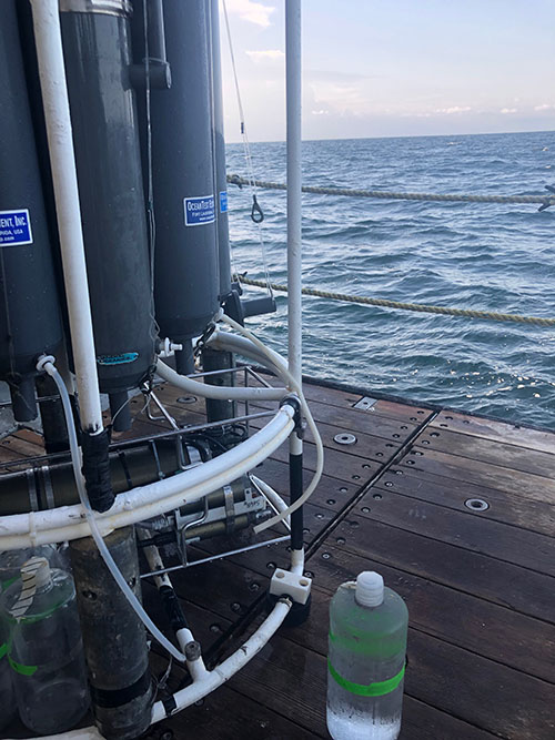 Early morning CTD sampling for DNA and nutrients in the water column.