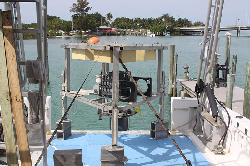 Specifically designed for this project, the benthic lander was deployed to the bottom of Amberjack Hole to collect data and samples for longer periods than divers can, right where the bottom water meets the sediment.