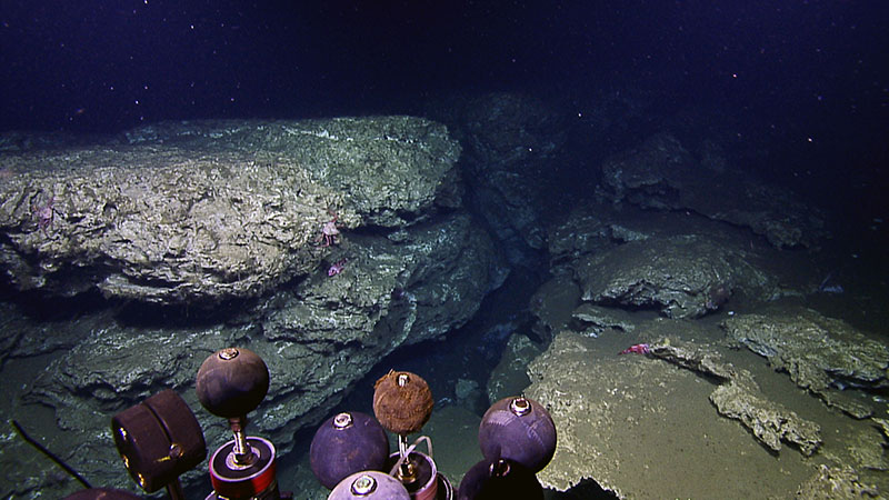 Other sites have carbonate formations created from prolonged seepage fueling bacterial mats.