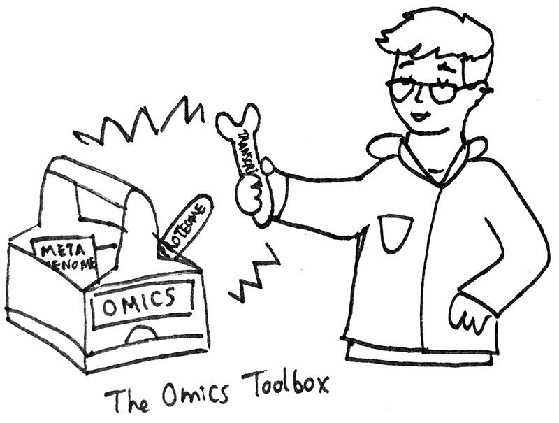 The Omics Toolbox contains various tools used to measure a community, including metagenomics, transcriptomics, proteomics, and metabolomics.