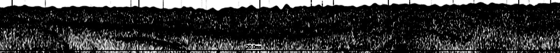 Paleolandscapes and the ca. 8,000 BP Shoreline of the Gulf of Mexico Outer Continental Shelf 2020