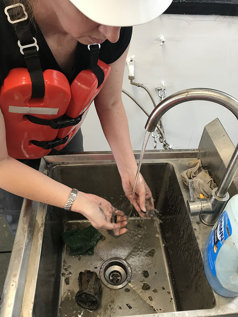 Sediment from the core catcher contained wood fragments, which were rinsed and catalogued.