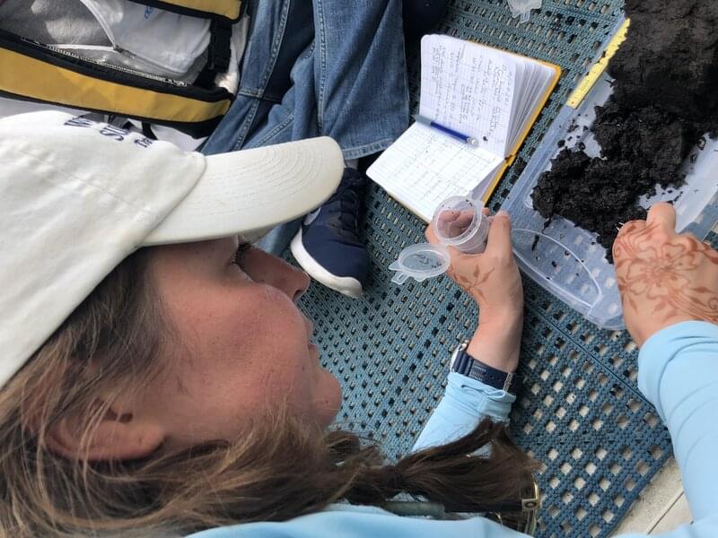 Expedition co-principal investigator Ashley Lemke dissects a portion of the sample.