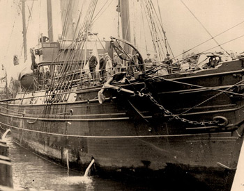 2019 Search for the U.S. Revenue Cutter Bear