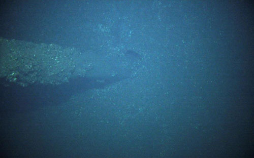 The standing mast on Onondaga, showing a good degree of structural integrity, imaged by an autonomous underwater vehicle during the Maritime Heritage in America’s Inland Seas expedition.