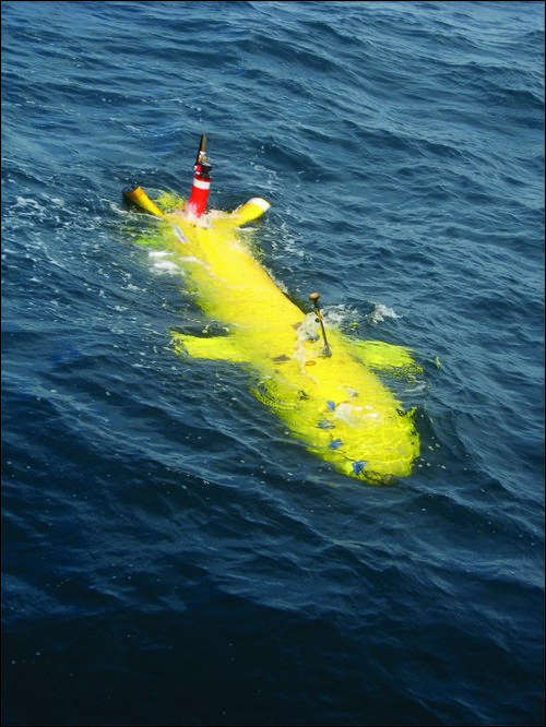 Figure 1a: Deployed Eagle Ray.