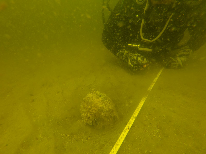 The Marine Archaeological Investigation and Habitat Mapping of the Paleo-Suwannee River project dive teams orient a baseline of 50-meter (164-foot) length, then conduct line searches at every 5 meters (16 feet) along the baseline.