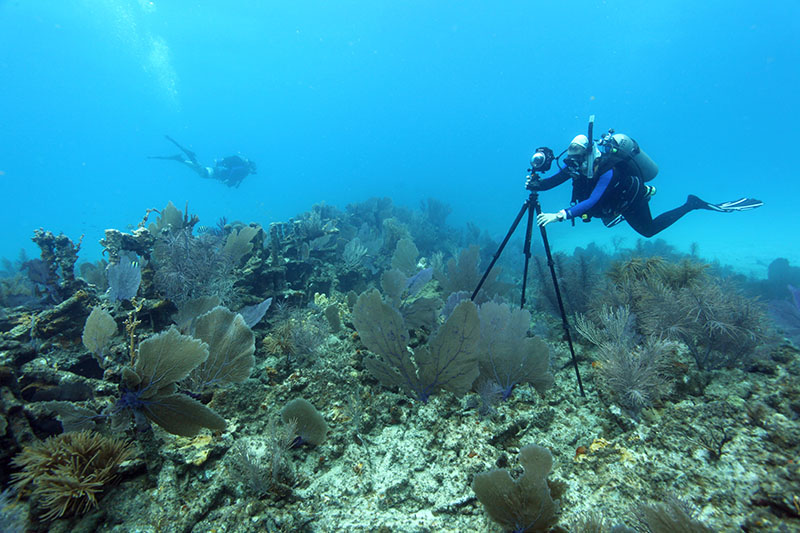 Office of National Marine Sanctuaries maritime heritage coordinator and research team member Brenda Altmeier levels the 360-degree panoramic camera before photographing the Tonawanda shipwreck off Key Largo.