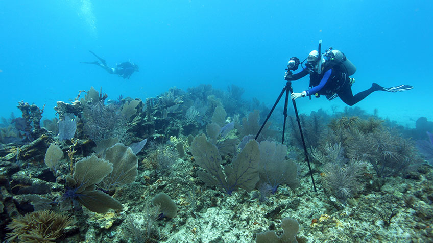 Office of National Marine Sanctuaries maritime heritage coordinator and research team member Brenda Altmeier levels the 360-degree panoramic camera before photographing the Tonawanda shipwreck off Key Largo.