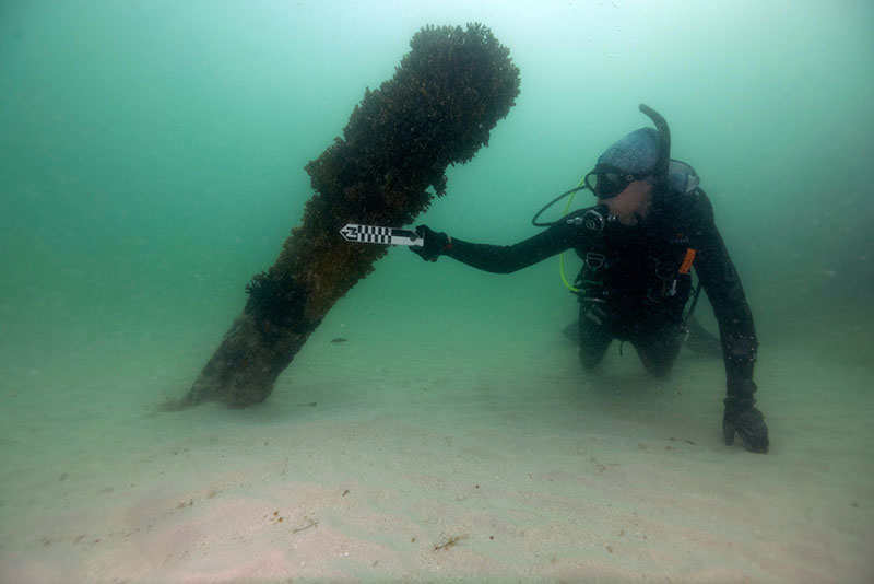 NOAA archaeologist Matthew Lawrence provides a scale for a Valbanera deck beam.