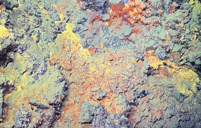 Scientists were excited to see iron-sulfide rich rocks at a depth of 3,300 meters (2.05 miles) during the first remotely operated vehicle Jason dive of the Escanaba Trough: Exploring the Seafloor and Oceanic Footprints expedition.