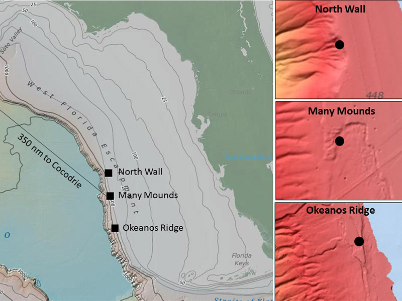Locations of Exploration and Characterization of the Fine-Scale Physical-Biogeochemical Environment Over Deep Coral Reefs on the West Florida Slope Using Integrated Remotely Operated Vehicle-Lander-Sensor Systems expedition study sites on the West Florida Slope. The right panels are multibeam bathymetry images of the three dive sites, with black dots showing the central part of each site and warmer colors representing shallower depths.