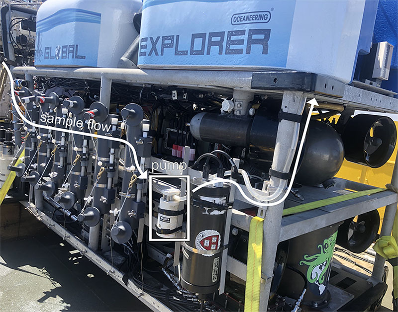 Water is pumped from the front of remotely operated vehicle (ROV) <i>Global Explorer</i>, through a large filter (positioned behind the sampling bottles), and out the back. Over the course of an ROV dive, approximately 50 liters of water can be filtered while video observations are made. This allows scientists to capture the eDNA that the animals we see release into the water around them. If they can collect enough eDNA, they can positively identify the potentially unknown species that they observe but cannot capture.