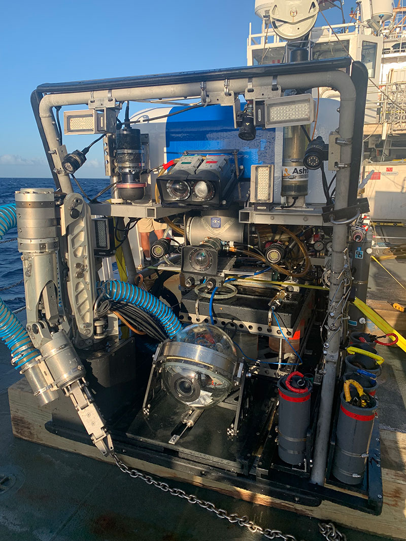 A low-light camera was installed on the remotely operated vehicle for the Illuminating Biodiversity in Deep Waters of Puerto Rico 2022 expedition in order for scientists aboard to see instances of bioluminescence.