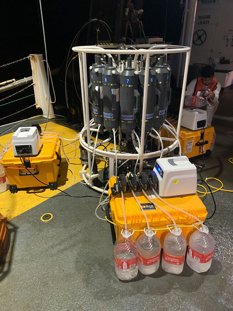 After collecting 12 water samples at different depths, the niskin rosette is brought back to the ship for water sample processing. To sample eDNA, water is pumped from each of the bottles over small filters (hanging in the top of the plastic collection bottles) with microscopic pores, capturing all of the particles in the water sample that contain eDNA. These filters are stored in a super-cold freezer, preserving the eDNA until it is extracted for sequencing back in the lab on shore.