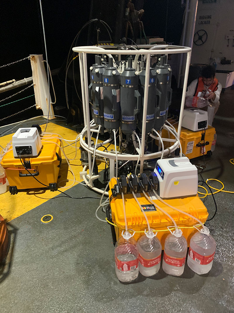Tras recolectar 12 muestras de agua de diferentes profundidades durante las inmersiones de la expedición Exploración de la biodiversidad en las aguas profundas de Puerto Rico 2022, se lleva la roseta Niskin de vuelta al barco para procesar las muestras de agua. Para obtener muestras de eDNA, se bombea el agua de cada una de las botellas sobre pequeños filtros (suspendidos en la parte superior de las botellas plásticas) con poros microscópicos, lo que permite capturar todas las partículas en el agua que contienen eDNA. Estos filtros se almacenan en un congelador ultrafrío que preserva el eDNA hasta el momento de su extracción para secuenciación en el laboratorio en tierra.