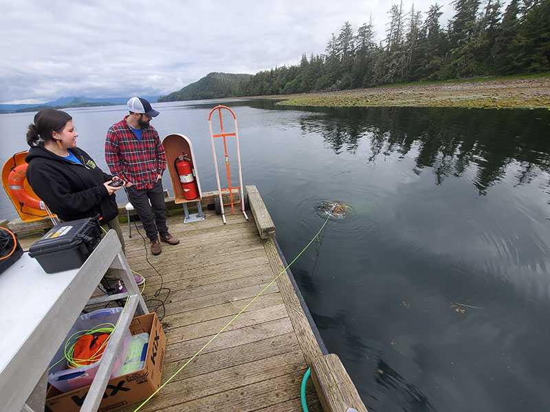 Sealaska Heritage Institute intern Taylor Heaton drives autonomous underwater vehicle SUNFISH during the community demonstration day at Craig, Alaska. The Our Submerged Past expedition team conducted community demonstrations in both Craig and Klawock, Alaska. During the event, members of the local community were able to see AUV SUNFISH in the water, learn about the expedition, and see collected seafloor sediment under a microscope. The community day was a highlight for Taylor.