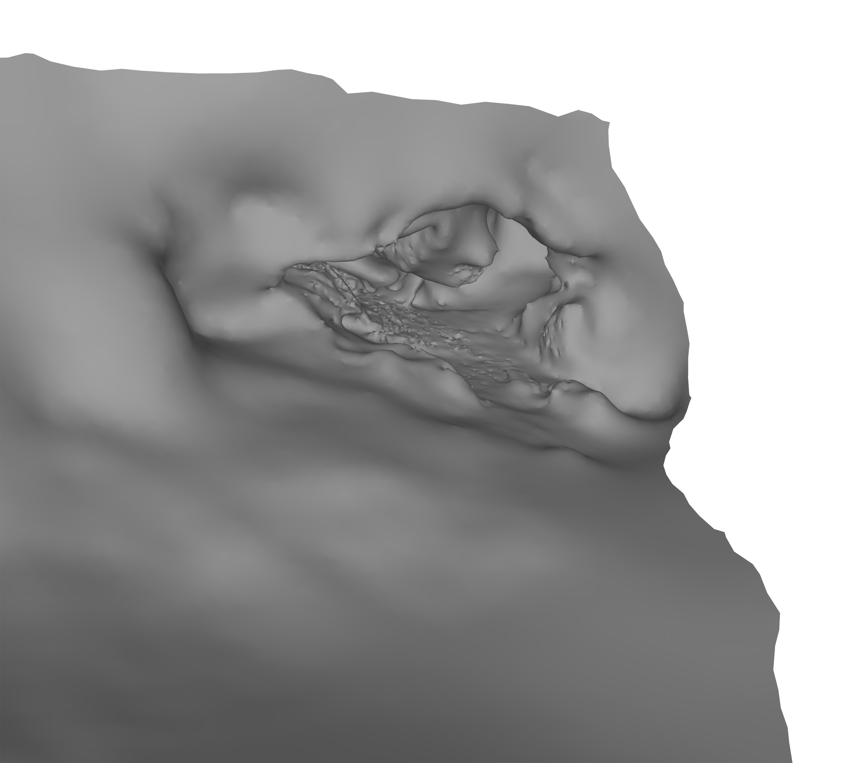 Initial 3D sonar map views of front (left) and cross-section (right) of a cave entered, explored and mapped by SUNFISH. The cave entrance is approximately 9 m from floor to ceiling. Post-processing of the 3D sonar and camera data from SUNFISH and the lower-resolution surface survey from 2022 is underway.