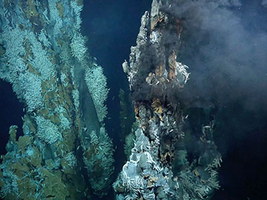 A high-temperature hydrothermal vent field discovered on Puy des Folles Seamount on the Mid-Atlantic Ridge, at approximately 2,000 meters (6,562 feet) in depth, during the In Search of Hydrothermal Lost Cities expedition.