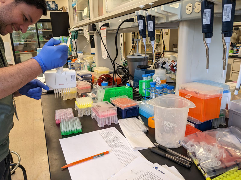 Steve Auscavitch at the bench transferring freshly extracted deep-sea coral DNA from species collected in Pacific Remote Islands Marine National Monument during genome skimming library preparation in February 2023.