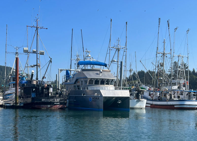 Research Vessel Storm Petrel at the La Push Marina.