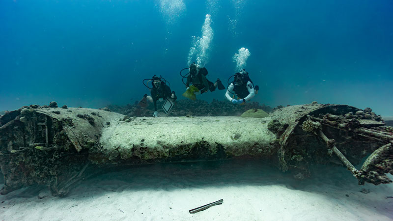 Diving on Wing of a Seaplane