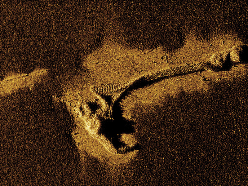 Synthetic aperture sonar imagery of anti-submarine net, with chain links clearly visible on the seafloor. During World War II, a net of 2,700 yards, supported by over 800 yards of moorings, stretched across the entrance to Massacre Bay, extending west from Alexai Point.
