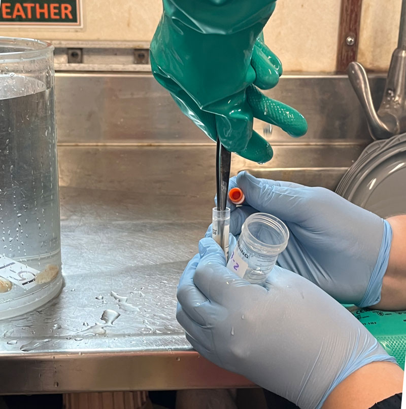 A piece of a sponge is preserved for the DNA archive after collection using the Mohawk remotely operated vehicle during Exploration of Deepwater Habitats off Puerto Rico and the U.S. Virgin Islands for Biotechnology Potential.