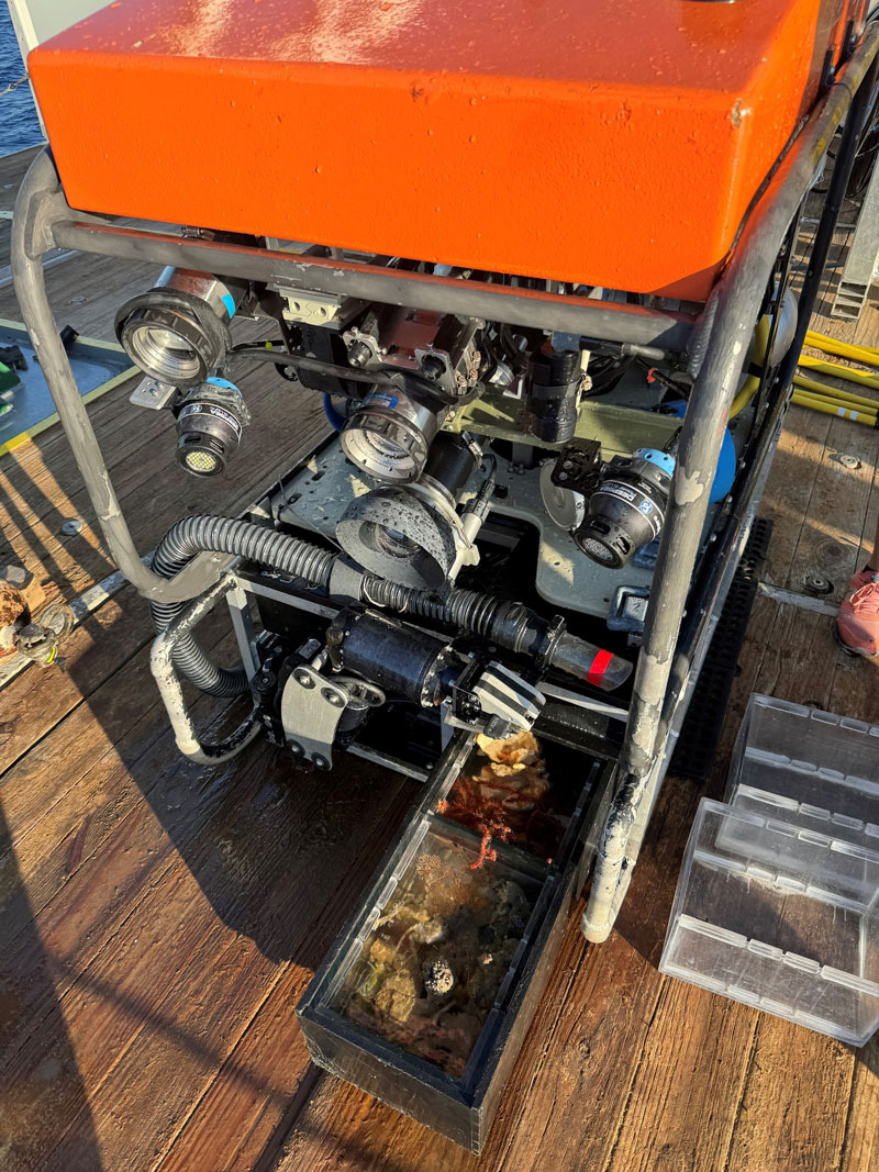 The Mohawk remotely operated vehicle (ROV) back on deck on Research Vessel F.G. Walton Smith after a dive with bioboxes full of samples during Exploration of Deepwater Habitats off Puerto Rico and the U.S. Virgin Islands for Biotechnology Potential.