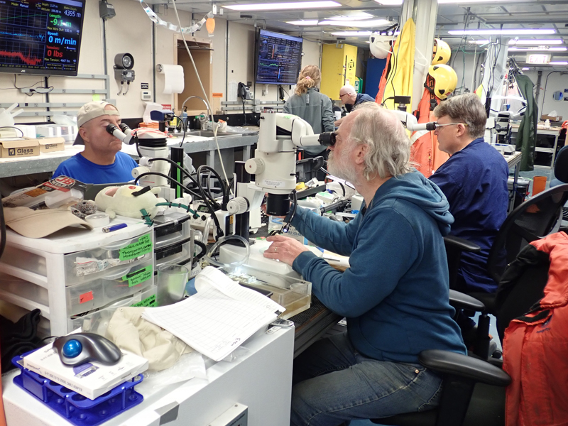 Tracey Sutton, Russ Hopcroft, and Dhugal Lindsay (left to right) use microscopes to analyze collected samples during the Exploring Pelagic Biodiversity of the Gulf of Alaska and the Impact of Its Seamounts expedition.