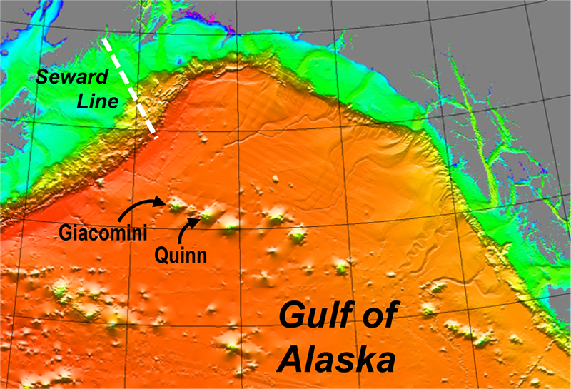 Bathymetric map of the Gulf of Alaska, showing its deep basin with seamount chains. Gray is land, green is the continental shelf, yellow is the continental slope, and orange is the Gulf’s deep basin.