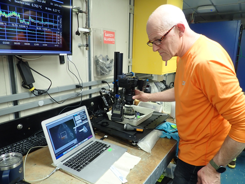 Allen Collins photographs a jellyfish (Pantachogon sp.) in the lab on Research Vessel Sikuliaq during the Exploring Pelagic Biodiversity of the Gulf of Alaska and the Impact of Its Seamounts expedition.