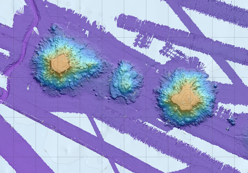 Bathymetry of the Giacomini and Quinn seamounts (the two large seamounts, left to right) in the Gulf of Alaska. The Exploring Pelagic Biodiversity of the Gulf of Alaska and the Impact of Its Seamounts expedition focused on the deep waters around these seamounts.